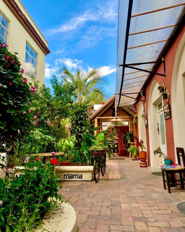 Hostal Yakumama Cuenca Eksteriør billede